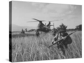 Men of the Us Army 25th Infantry Division During Jungle Training-Nat Farbman-Stretched Canvas