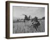 Men of the Us Army 25th Infantry Division During Jungle Training-Nat Farbman-Framed Photographic Print