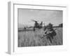 Men of the Us Army 25th Infantry Division During Jungle Training-Nat Farbman-Framed Photographic Print