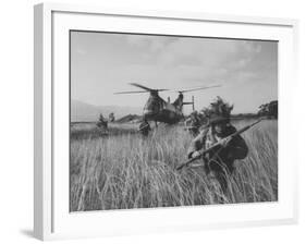 Men of the Us Army 25th Infantry Division During Jungle Training-Nat Farbman-Framed Photographic Print