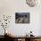 Men on Horseback Carry Supplies to Cattle Ranch on the Outskirts of Santiago, Chile, South America-Aaron McCoy-Framed Stretched Canvas displayed on a wall