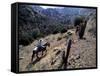 Men on Horseback Carry Supplies to Cattle Ranch on the Outskirts of Santiago, Chile, South America-Aaron McCoy-Framed Stretched Canvas