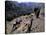 Men on Horseback Carry Supplies to Cattle Ranch on the Outskirts of Santiago, Chile, South America-Aaron McCoy-Stretched Canvas