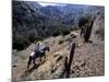 Men on Horseback Carry Supplies to Cattle Ranch on the Outskirts of Santiago, Chile, South America-Aaron McCoy-Mounted Photographic Print