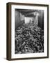 Men Packing a Ship with Freshly Caught Cod Fish-Ralph Morse-Framed Photographic Print