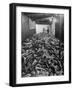 Men Packing a Ship with Freshly Caught Cod Fish-Ralph Morse-Framed Photographic Print