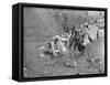 Men Panning for Gold Photograph - Nome, AK-Lantern Press-Framed Stretched Canvas