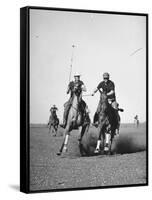 Men Playing Polo-Carl Mydans-Framed Stretched Canvas