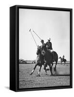 Men Playing Polo-Carl Mydans-Framed Stretched Canvas