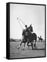 Men Playing Polo-Carl Mydans-Framed Stretched Canvas