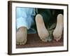 Men Pray-null-Framed Photographic Print