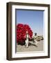 Men Pulling Wooden Cart Piled with Red Water Containers Along Road, Balkh Province, Afghanistan-Jane Sweeney-Framed Photographic Print