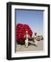 Men Pulling Wooden Cart Piled with Red Water Containers Along Road, Balkh Province, Afghanistan-Jane Sweeney-Framed Photographic Print