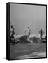 Men Riding the Waves on Surf Boards-null-Framed Stretched Canvas