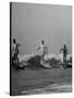 Men Riding the Waves on Surf Boards-null-Stretched Canvas