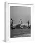 Men Riding the Waves on Surf Boards-null-Framed Photographic Print