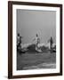 Men Riding the Waves on Surf Boards-null-Framed Photographic Print