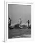 Men Riding the Waves on Surf Boards-null-Framed Photographic Print