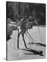 Men Roller Skiing in the Streets-null-Stretched Canvas