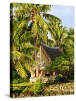 Men's House, Yap, Micronesia, Pacific-Nico Tondini-Stretched Canvas