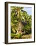 Men's House, Yap, Micronesia, Pacific-Nico Tondini-Framed Photographic Print