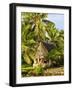 Men's House, Yap, Micronesia, Pacific-Nico Tondini-Framed Photographic Print