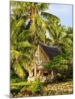 Men's House, Yap, Micronesia, Pacific-Nico Tondini-Mounted Photographic Print