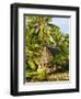 Men's House, Yap, Micronesia, Pacific-Nico Tondini-Framed Photographic Print