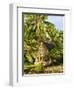 Men's House, Yap, Micronesia, Pacific-Nico Tondini-Framed Photographic Print