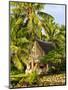 Men's House, Yap, Micronesia, Pacific-Nico Tondini-Mounted Photographic Print