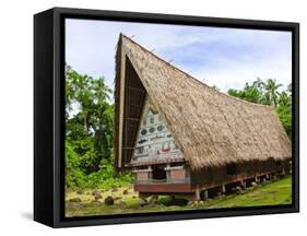 Men's Meeting House at Belau National Museum Koror, Republic of Palau, Pacific-Nico Tondini-Framed Stretched Canvas