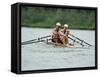 Men's Pairs Rowing Team in Action, USA-null-Framed Stretched Canvas