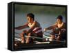 Men's Pairs Rowing Team in Action, Vancouver Lake, Washington, USA-null-Framed Stretched Canvas