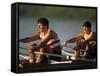 Men's Pairs Rowing Team in Action, Vancouver Lake, Washington, USA-null-Framed Stretched Canvas