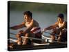 Men's Pairs Rowing Team in Action, Vancouver Lake, Washington, USA-null-Stretched Canvas