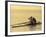 Men's Pairs Rowing Team, Vancouver Lake, Washington, USA-null-Framed Photographic Print