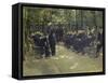 Men's Retirement Home in Amsterdam, 1882-Max Liebermann-Framed Stretched Canvas