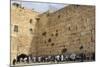 Men's Section, Western (Wailing) Wall, Temple Mount, Old City, Jerusalem, Middle East-Eleanor Scriven-Mounted Photographic Print