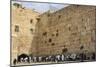 Men's Section, Western (Wailing) Wall, Temple Mount, Old City, Jerusalem, Middle East-Eleanor Scriven-Mounted Photographic Print