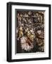 Men's Three Piece Suit, Detail with Floral Embroidery-null-Framed Giclee Print