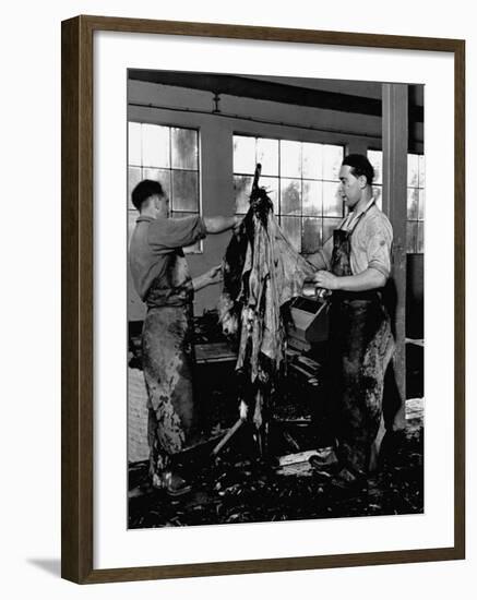 Men Scraping Clots of Hair from the Leather at the Tannery-John Phillips-Framed Premium Photographic Print