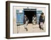 Men Sitting Outside Shop, Syadara, Between Yakawlang and Daulitiar, Afghanistan-Jane Sweeney-Framed Photographic Print