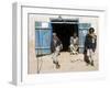 Men Sitting Outside Shop, Syadara, Between Yakawlang and Daulitiar, Afghanistan-Jane Sweeney-Framed Photographic Print