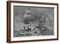 Brown Frame