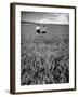 Men Standing in Wheat Field-Hansel Mieth-Framed Photographic Print