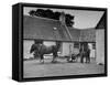 Men Standing Near Horse-Drawn Farming Equipment-null-Framed Stretched Canvas