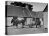 Men Standing Near Horse-Drawn Farming Equipment-null-Stretched Canvas