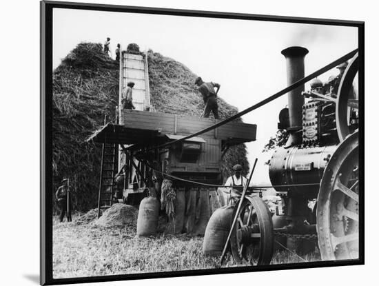 Men Threshing Wheat-null-Mounted Photographic Print