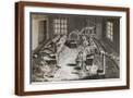 Brown Frame