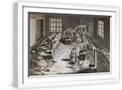 White Frame